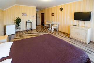 Гостевой дом Guest House Shale Винница Большой двухместный номер с 1 кроватью-3