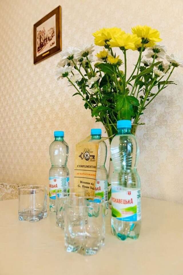 Гостевой дом Guest House Shale Винница-30